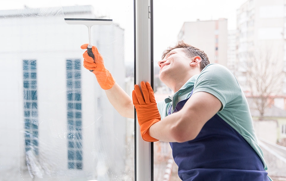 professionelle Fensterreinigung